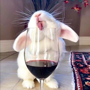 Meet your Posher, Sandrine